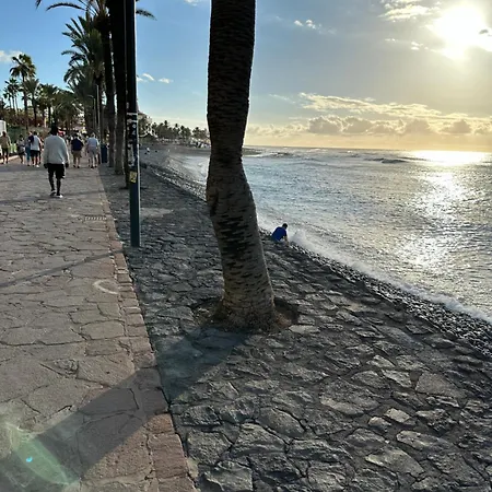 公寓 Tenerife Sud *