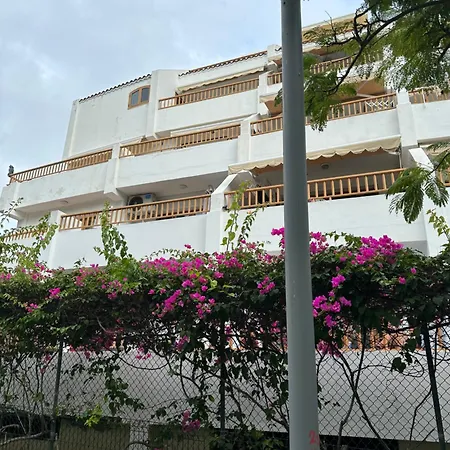 Tenerife Sud 阿德耶